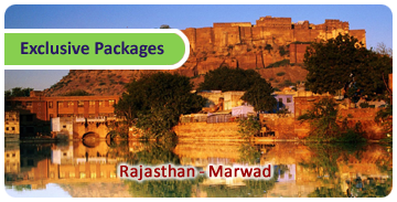 Click here for Exclusive Packages