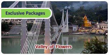 Click here for Exclusive Packages