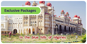 Click here for Exclusive Packages