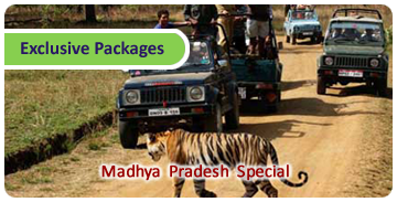 Click here for Exclusive Packages