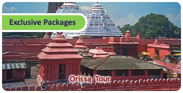 Click here for Exclusive Packages