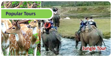 Click here for Popular Tours